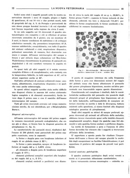 La nuova veterinaria rivista mensile fondata e diretta da Alessandro Lanfranchi