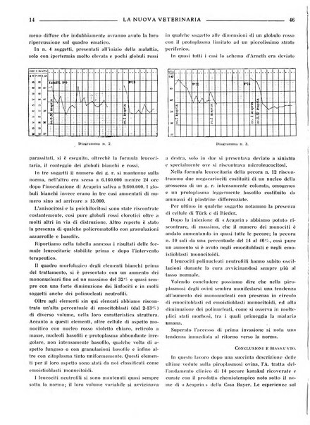 La nuova veterinaria rivista mensile fondata e diretta da Alessandro Lanfranchi