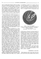 giornale/TO00190201/1937/unico/00000075