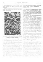 giornale/TO00190201/1937/unico/00000078