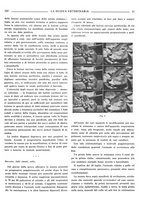 giornale/TO00190201/1937/unico/00000131