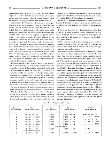 La nuova veterinaria rivista mensile fondata e diretta da Alessandro Lanfranchi