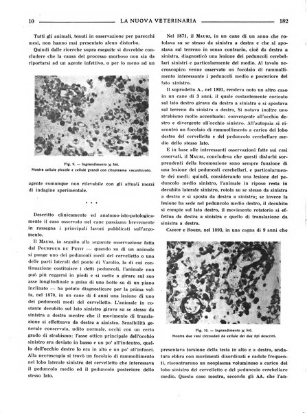 La nuova veterinaria rivista mensile fondata e diretta da Alessandro Lanfranchi