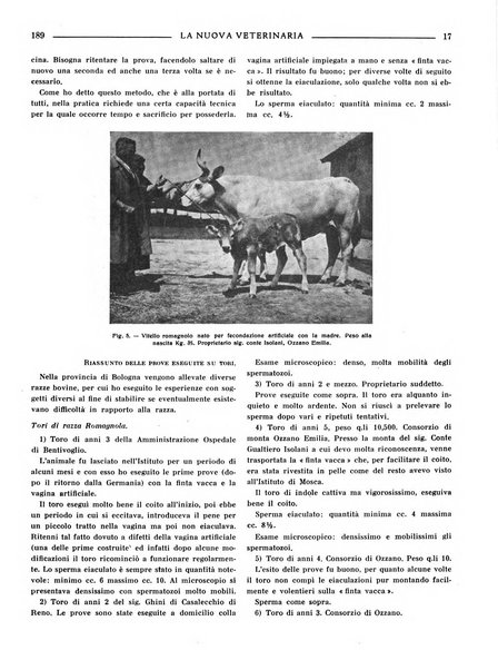 La nuova veterinaria rivista mensile fondata e diretta da Alessandro Lanfranchi