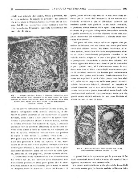 La nuova veterinaria rivista mensile fondata e diretta da Alessandro Lanfranchi