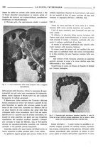 giornale/TO00190201/1937/unico/00000235