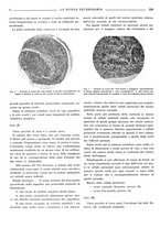 giornale/TO00190201/1937/unico/00000236