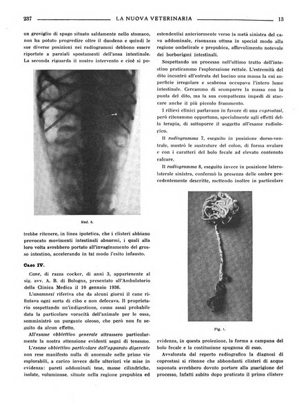 La nuova veterinaria rivista mensile fondata e diretta da Alessandro Lanfranchi