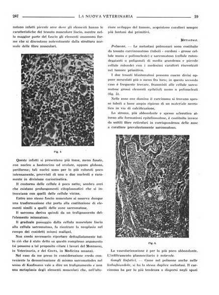 La nuova veterinaria rivista mensile fondata e diretta da Alessandro Lanfranchi