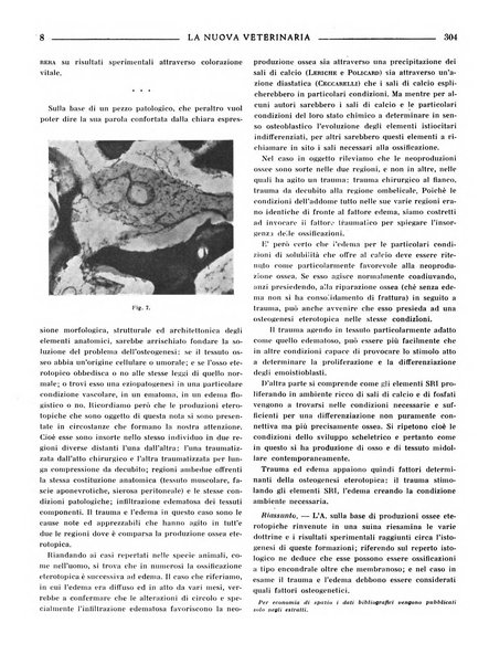 La nuova veterinaria rivista mensile fondata e diretta da Alessandro Lanfranchi