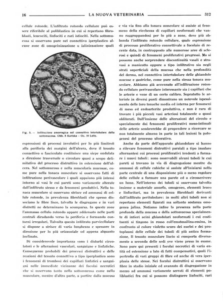 La nuova veterinaria rivista mensile fondata e diretta da Alessandro Lanfranchi