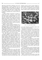 giornale/TO00190201/1937/unico/00000347