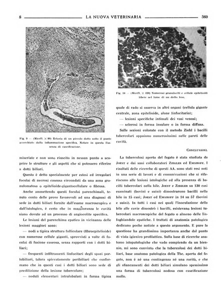 La nuova veterinaria rivista mensile fondata e diretta da Alessandro Lanfranchi