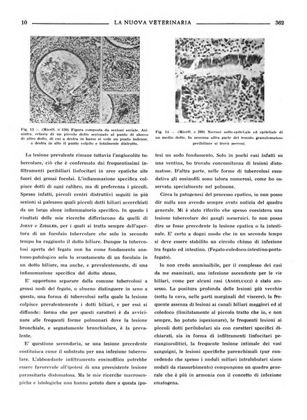 La nuova veterinaria rivista mensile fondata e diretta da Alessandro Lanfranchi