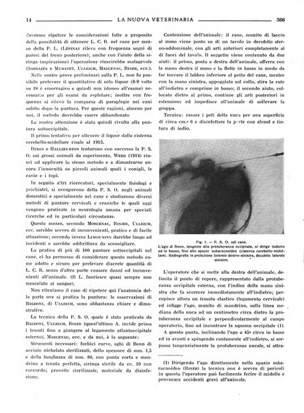 La nuova veterinaria rivista mensile fondata e diretta da Alessandro Lanfranchi