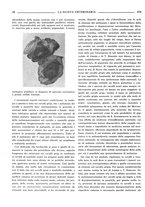 giornale/TO00190201/1937/unico/00000376