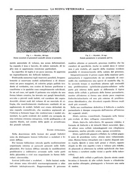 La nuova veterinaria rivista mensile fondata e diretta da Alessandro Lanfranchi