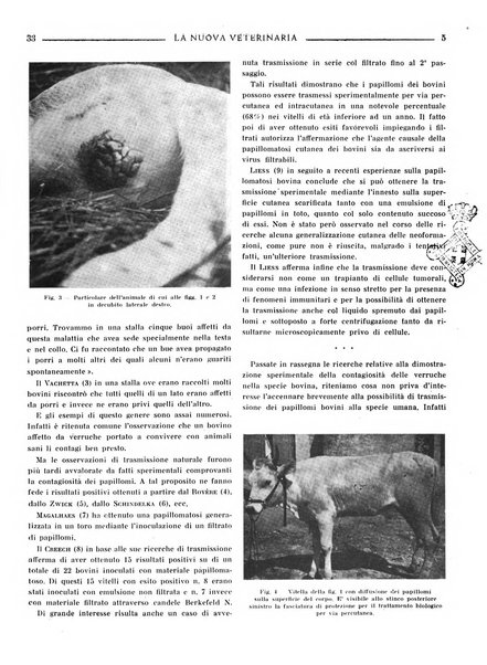 La nuova veterinaria rivista mensile fondata e diretta da Alessandro Lanfranchi