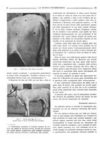 giornale/TO00190201/1938/unico/00000044