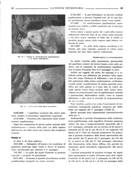 La nuova veterinaria rivista mensile fondata e diretta da Alessandro Lanfranchi