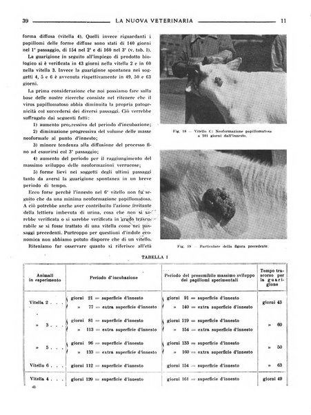 La nuova veterinaria rivista mensile fondata e diretta da Alessandro Lanfranchi