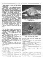 giornale/TO00190201/1938/unico/00000053