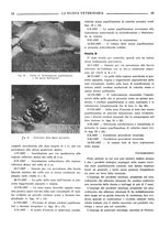 giornale/TO00190201/1938/unico/00000054