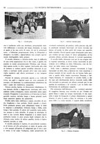 giornale/TO00190201/1938/unico/00000101