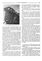 giornale/TO00190201/1938/unico/00000122