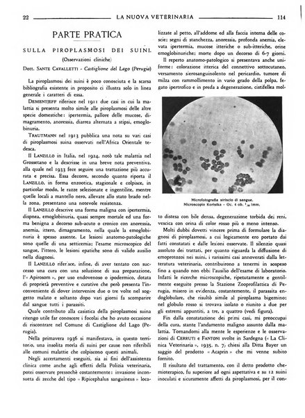 La nuova veterinaria rivista mensile fondata e diretta da Alessandro Lanfranchi