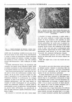 giornale/TO00190201/1938/unico/00000150
