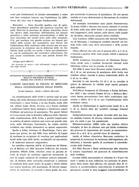 La nuova veterinaria rivista mensile fondata e diretta da Alessandro Lanfranchi