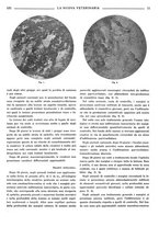 giornale/TO00190201/1938/unico/00000157