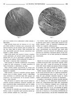 giornale/TO00190201/1938/unico/00000158