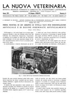 giornale/TO00190201/1938/unico/00000181