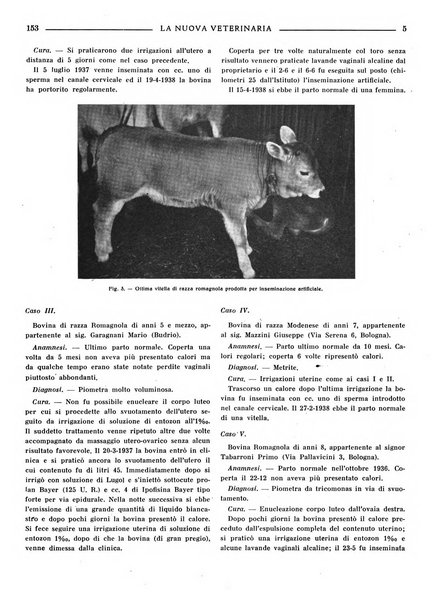 La nuova veterinaria rivista mensile fondata e diretta da Alessandro Lanfranchi