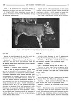 giornale/TO00190201/1938/unico/00000183