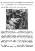 giornale/TO00190201/1938/unico/00000185
