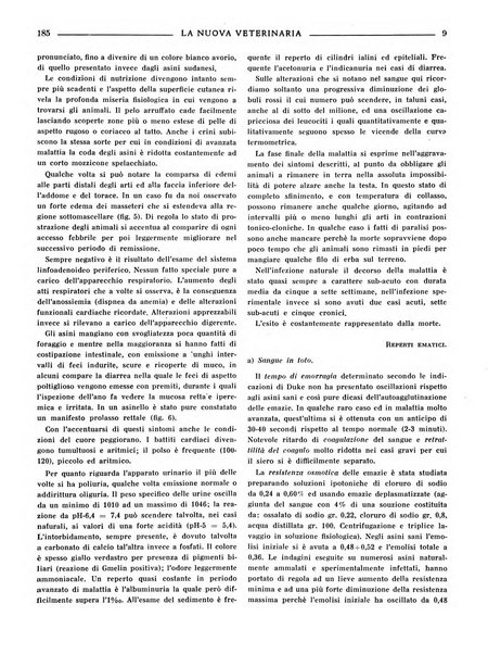 La nuova veterinaria rivista mensile fondata e diretta da Alessandro Lanfranchi