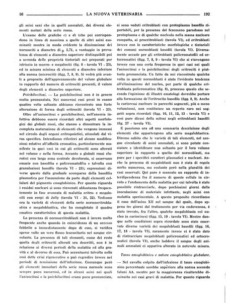 La nuova veterinaria rivista mensile fondata e diretta da Alessandro Lanfranchi