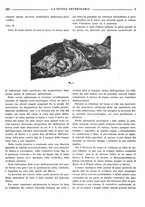 giornale/TO00190201/1938/unico/00000321