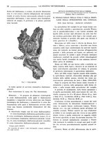 giornale/TO00190201/1938/unico/00000324