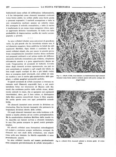 La nuova veterinaria rivista mensile fondata e diretta da Alessandro Lanfranchi