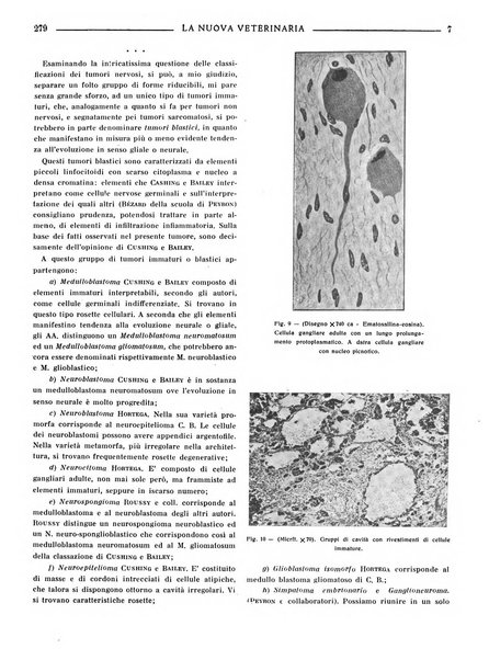 La nuova veterinaria rivista mensile fondata e diretta da Alessandro Lanfranchi