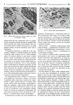 giornale/TO00190201/1938/unico/00000352