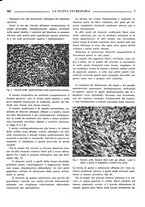 giornale/TO00190201/1938/unico/00000387