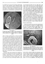 giornale/TO00190201/1938/unico/00000394