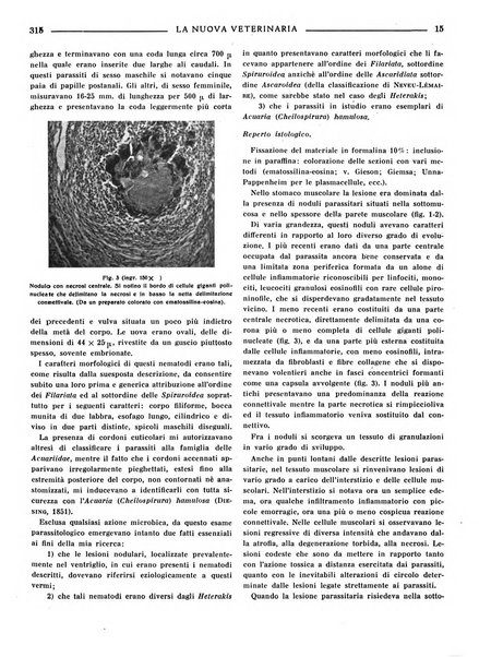 La nuova veterinaria rivista mensile fondata e diretta da Alessandro Lanfranchi