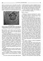 giornale/TO00190201/1938/unico/00000395