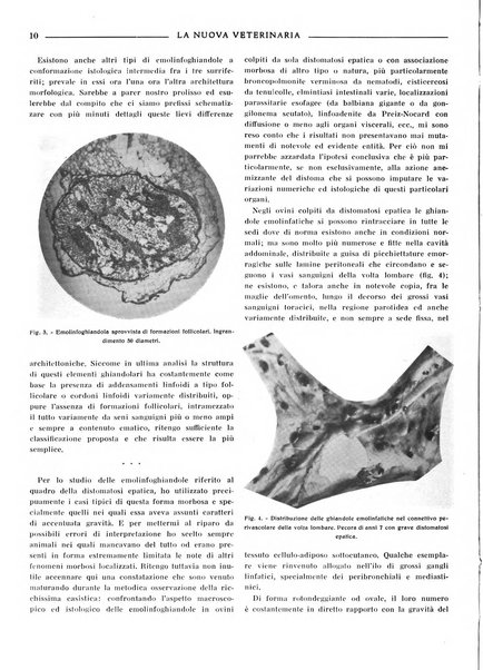 La nuova veterinaria rivista mensile fondata e diretta da Alessandro Lanfranchi